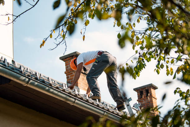 Best Roof Gutter Cleaning  in Mcfarland, WI